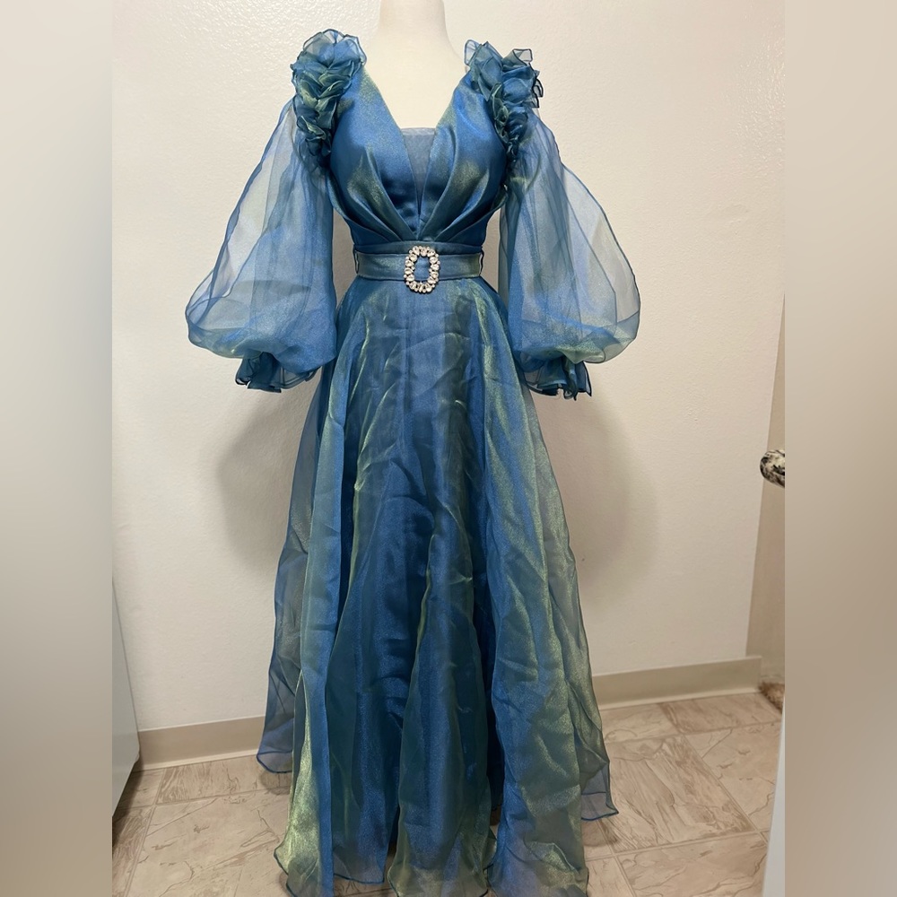 Long sleeve and maxi dress. One time used.